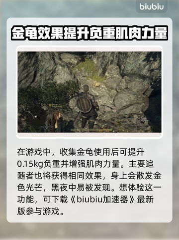 龙之信条2🔥金龟收集全攻略💎截图2