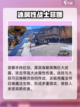 二重螺旋菲娜怎么玩介绍截图3