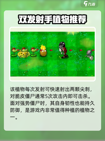 植物大战僵尸：双发仙人掌🔥技能实力大揭秘！截图4