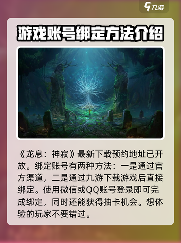 龙息神寂账号绑定教程💥，快速上手🎉截图2