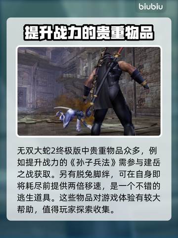 无双大蛇2终极版🔥全贵重物品一览✔截图2