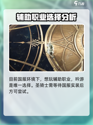 命运方舟圣骑士和吟游哪个好介绍截图5