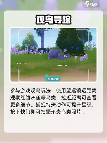 心动小镇📸拍照秘籍曝光！截图2