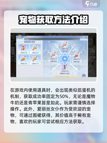 仙境传说ro爱如初见宠物进阶攻略介绍截图4