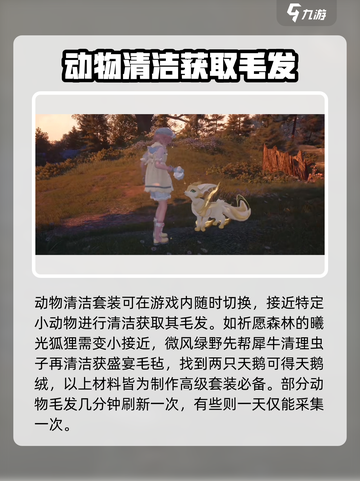 无限暖暖动物清洁怎么做介绍截图4