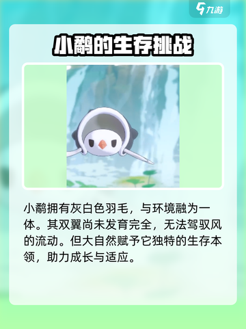 洛克王国世界小鹬怎么样介绍截图2