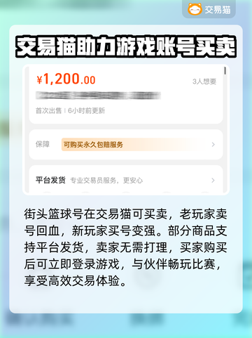 街头篮球账号交易平台推荐🔥🏀截图2