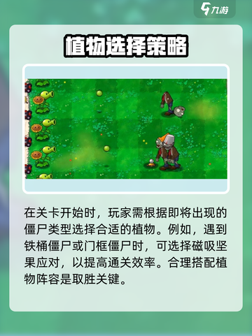 🎮植物大战僵尸杂交版来袭！好玩到爆💥截图4