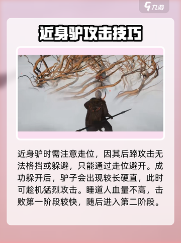 燕云十六声野外首领睡道人攻略介绍截图4