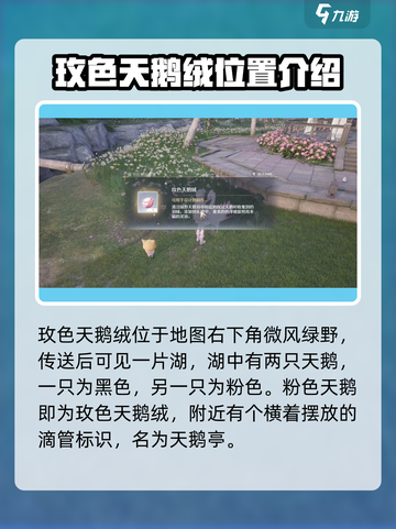 无限暖暖🔥玫色天鹅绒获取秘籍💎截图2