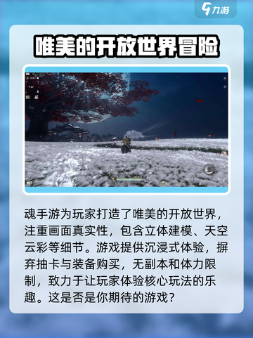 魂手游好玩吗介绍截图2