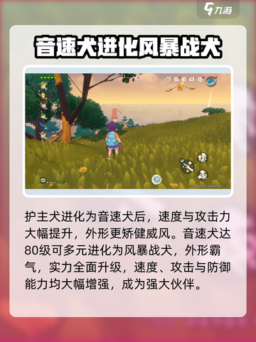 洛克王国手游护主犬怎么得介绍截图4