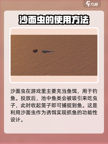 沙石镇时光🌟投掷沙面虫超全攻略来了！快看👇截图5