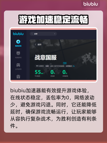 战意⚡国服闪退？用对加速器轻松解决！🚀截图5