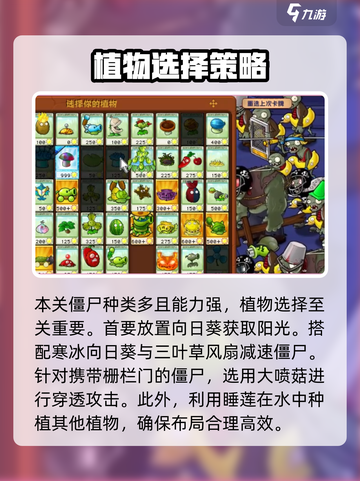 植物大战僵尸杂交版66关🔥通关秘籍💡截图2