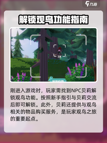 心动小镇观鸟操作攻略🔥超详细介绍！BirdWatching✨截图2