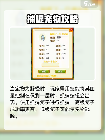 皮卡堂怎么抓宠物介绍截图4