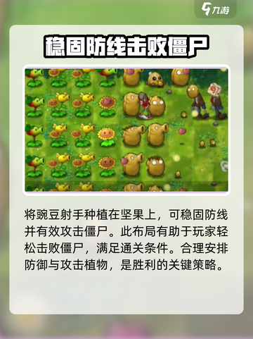 植物大战僵尸第六关🔥超简单通关秘籍🎉截图5