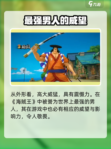 航海王壮志雄心🔥白胡子超强攻略来啦！截图2