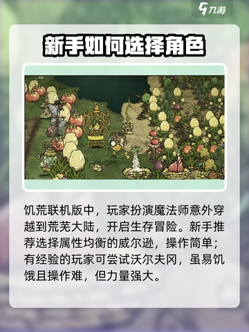 饥荒联机版手游怎么玩介绍截图2