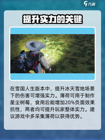 七日世界雪国人生薄荷在哪介绍截图4