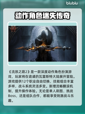 🔥《流放之路2》卡顿终结！选加速器秘诀大公开💥截图2