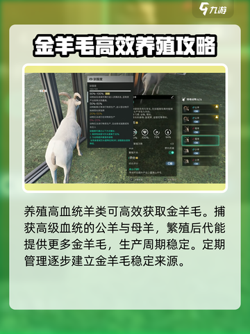 七日世界金羊毛获取攻略介绍截图5
