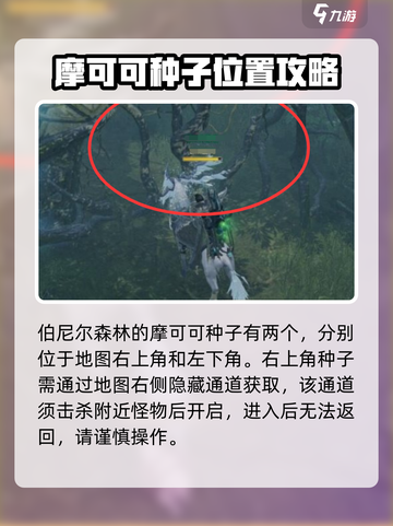 命运方舟伯尼尔森林路线怎么走介绍截图2