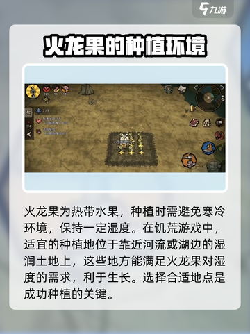 饥荒新家园怎么种出巨大火龙果介绍截图2