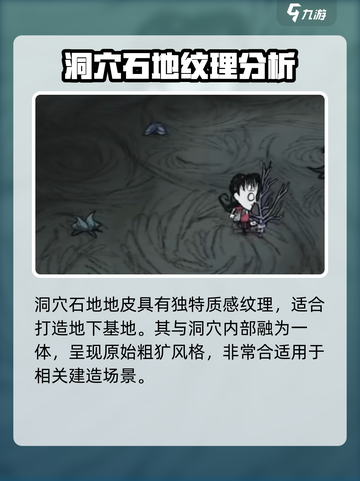 饥荒联机版好看的地皮有哪些介绍截图3