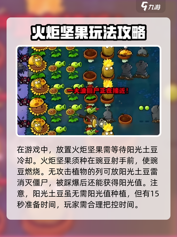 植物大战僵尸：火炬坚果🔥超神属性揭秘！截图4