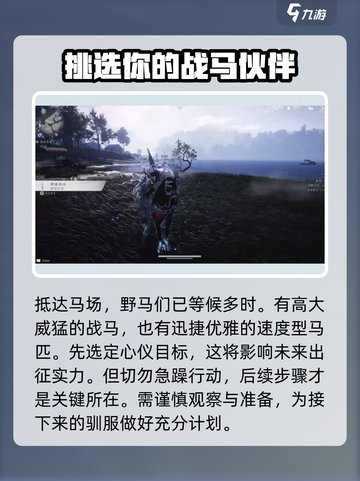 燕云十六声马怎么抓介绍截图3