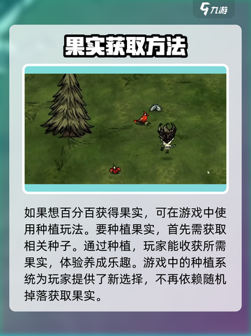 饥荒新家园💡木天蓼果获取秘籍💥截图3