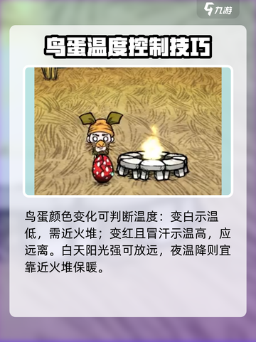 饥荒联机版🤩高脚鸟蛋孵化方法大公开🎉截图4