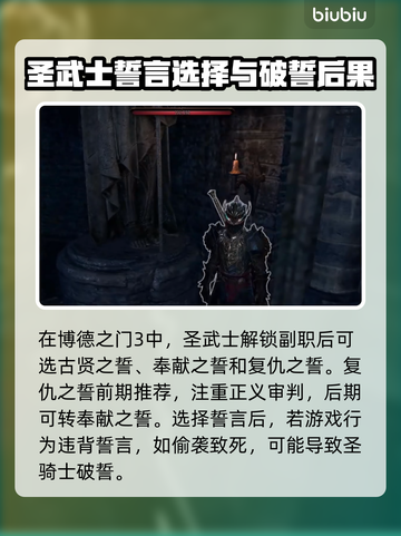 博德之门3🔥圣骑士破誓全过程揭秘！⚡截图2