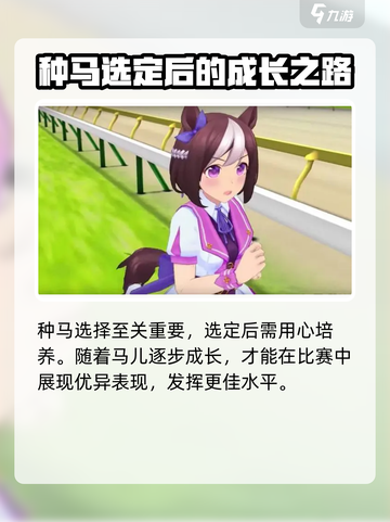 闪耀优俊少女种马库怎么选介绍截图5