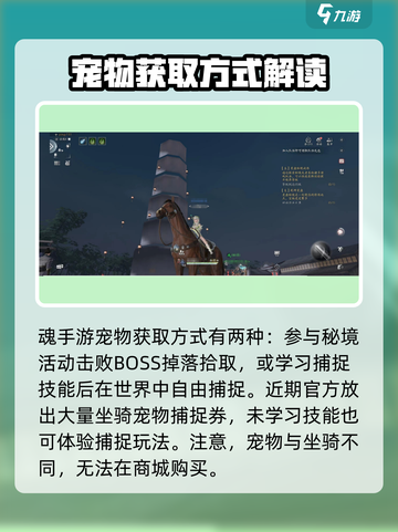 魂手游宠物怎么培养介绍截图2