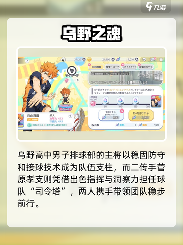 🔥排球少年手游SSR角色全揭秘💥截图2