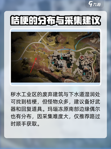 七日世界🔥桔梗采集地大曝光！速来获取⚡截图3