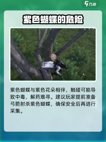 燕云十六声🔥抓蝴蝶攻略💎蝶舞翩跹等你来捉！截图3