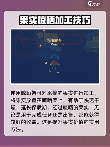 《波西亚时光》晾晒架大揭秘！✨轻松提升幸福感💡截图2