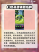 光明冒险自然阵容怎么搭配介绍截图6