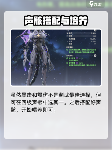 鸣潮🔥渊武声骸最佳搭配攻略来啦！快来抄作业✨截图5