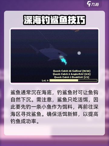 小猫钓鱼🔥钓鲨鱼教程分享！游戏名《小猫钓鱼》必备💡截图2
