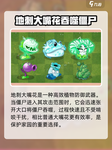植物大战僵尸⚡杂交版地刺大嘴花🔥超好用！截图3