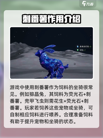 《创造吧我们的星球》🔥刺番薯攻略大全来啦！截图5