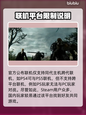 艾尔登法环黑夜君临联机方式🔥跨平台真相揭秘！🎮截图2