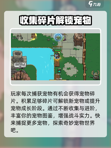 英勇之地宠物怎么捕捉介绍截图4