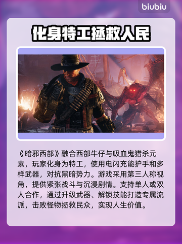 暗邪西部掉帧？这个方法直接原地起飞！🔥截图2