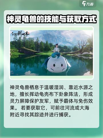 仙剑世界神龟灵兽怎么样介绍截图3